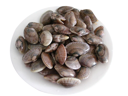 花甲怎么清洗.png